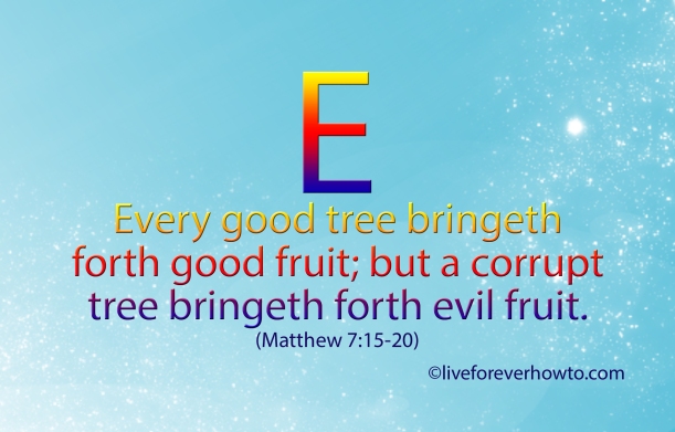 Every good tree bringeth forth good fruit Matthew 7