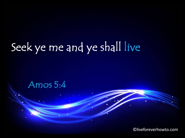 Seek ye me and ye shall live Amos 5:4